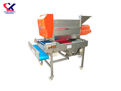 山东转筒式葡萄除梗粒选机