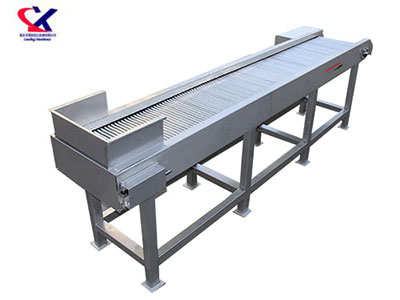 山东O型果专用选果机