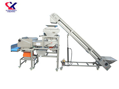 山东振动式除梗粒选生产线