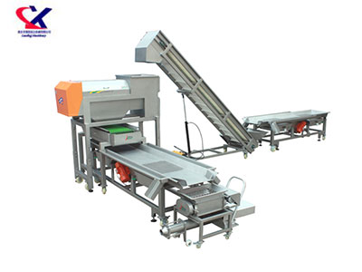 山东转筒式脱梗粒选生产线