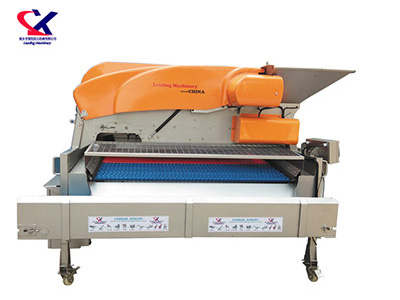 山东链板式葡萄除梗粒选机