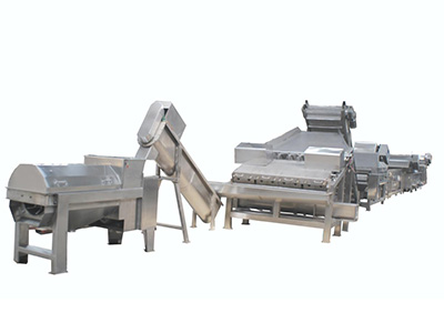 山东龙眼加工生产线