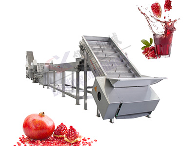 山东石榴果酒生产线